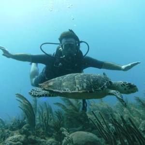 Meet your Posher, Darryn